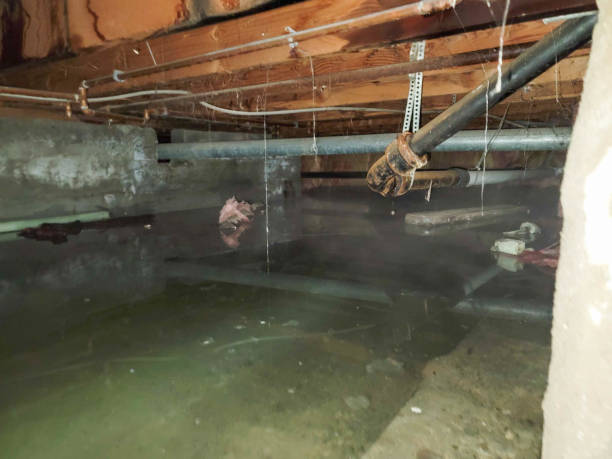 Best Fire Damage Restoration  in Lebanon, IL