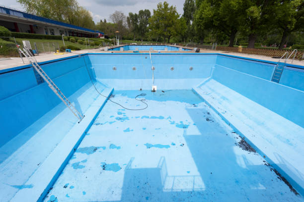 Best Basement water damage restoration  in Lebanon, IL