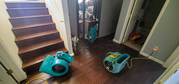 Best Flood damage cleanup  in Lebanon, IL