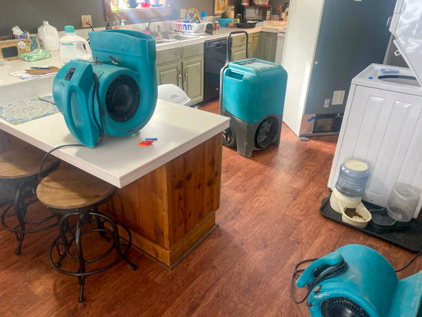 Best Ceiling water damage repair  in Lebanon, IL