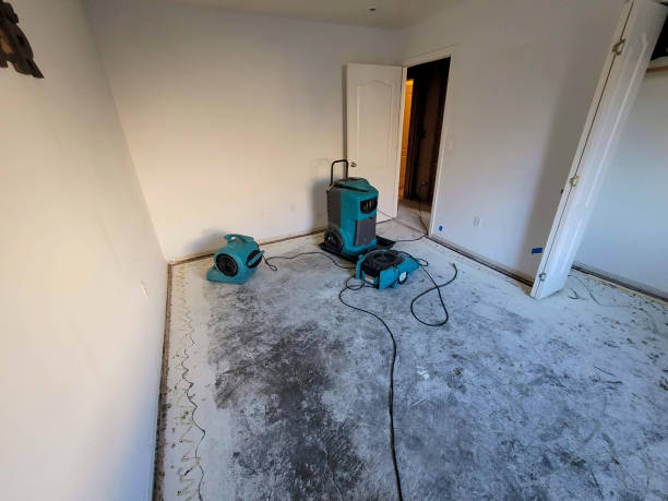 Best Residential water damage restoration  in Lebanon, IL