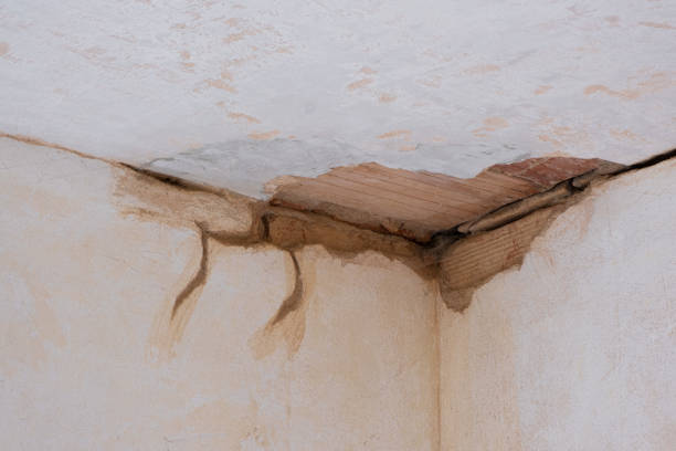 Water damage restoration mold remediation in IL