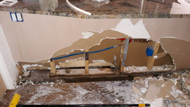 Best Water damage restoration near me  in Lebanon, IL
