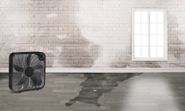 Best 24/7 water damage repair  in Lebanon, IL