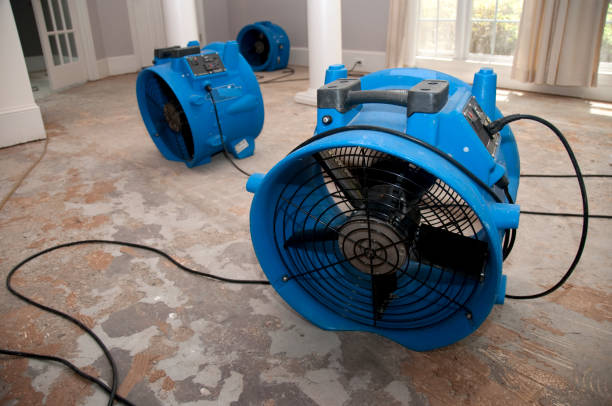 Best Carpet water damage restoration  in Lebanon, IL