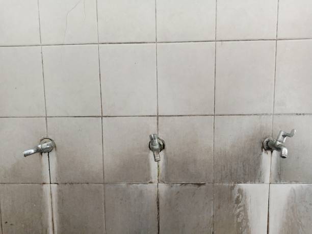  Lebanon, IL Water damage restoration Pros
