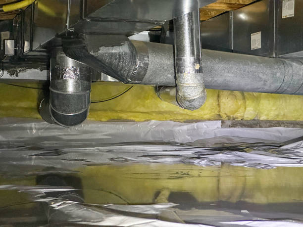 Best Water damage restoration company  in Lebanon, IL