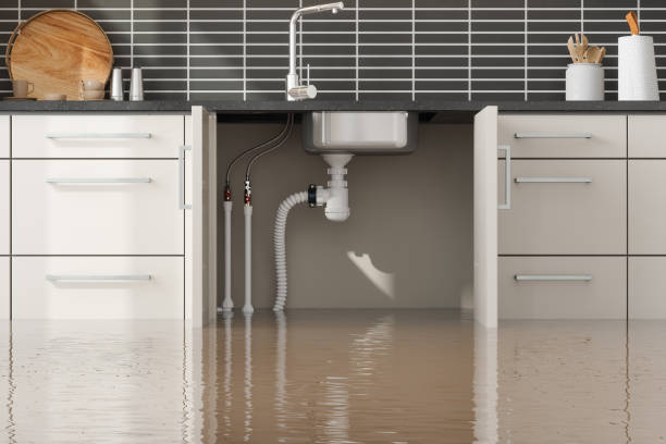 Best Water damage contractors near me  in Lebanon, IL