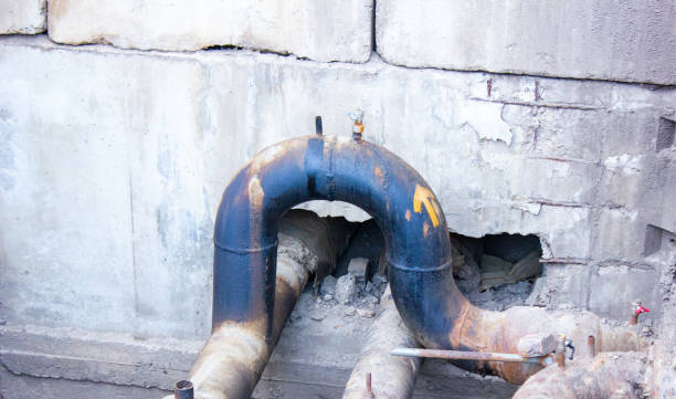 Best Water damage restoration process  in Lebanon, IL