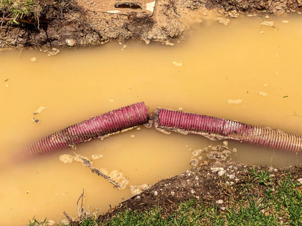 Best Mold removal after water damage  in Lebanon, IL
